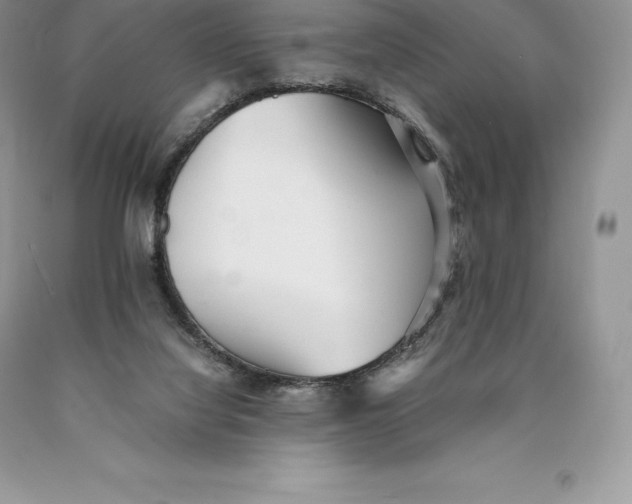 X0000089930068200707201849