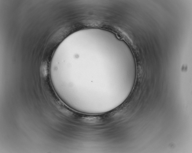 X0000089930069200707201849