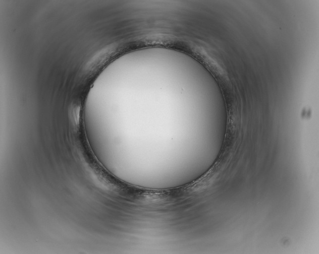 X0000089930070200707201849