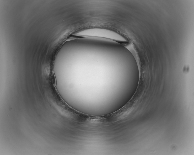 X0000089930072200707201849