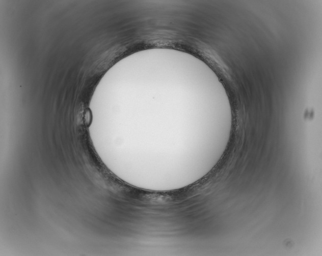 X0000089930073200707201849