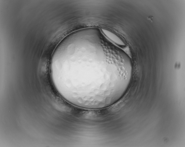 X0000089930074200707201849