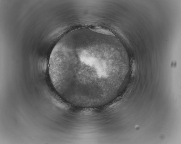 X0000089930076200707201849