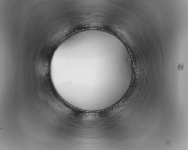 X0000089930077200707201849