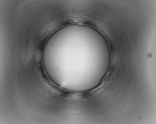 X0000089930078200707201850