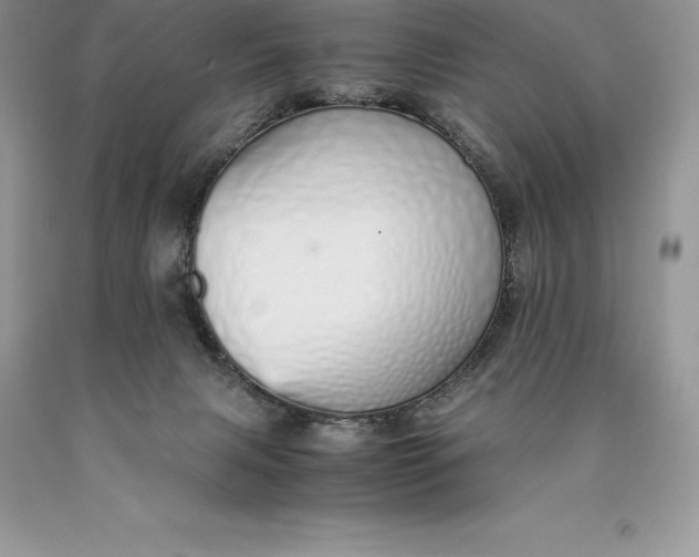 X0000089930079200707201850