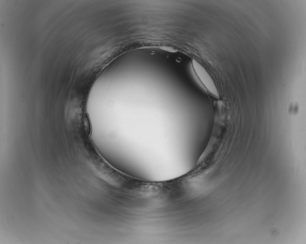 X0000089930080200707201850