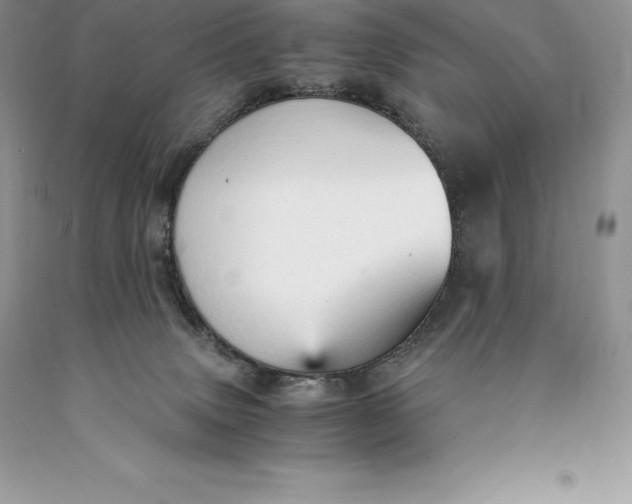 X0000089930083200707201850