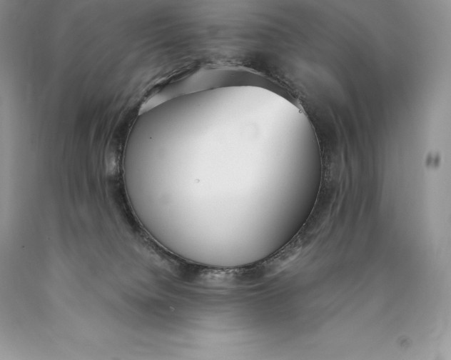 X0000089930084200707201850