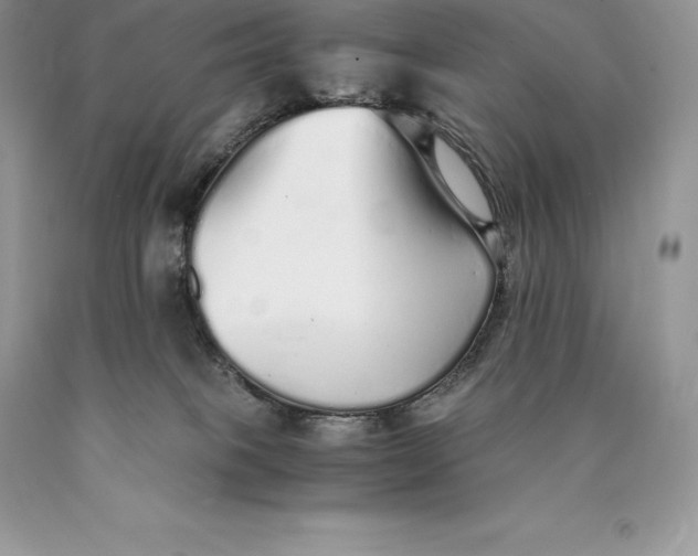 X0000089930085200707201850