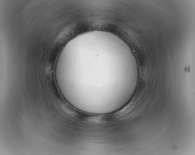 X0000089930086200707201850