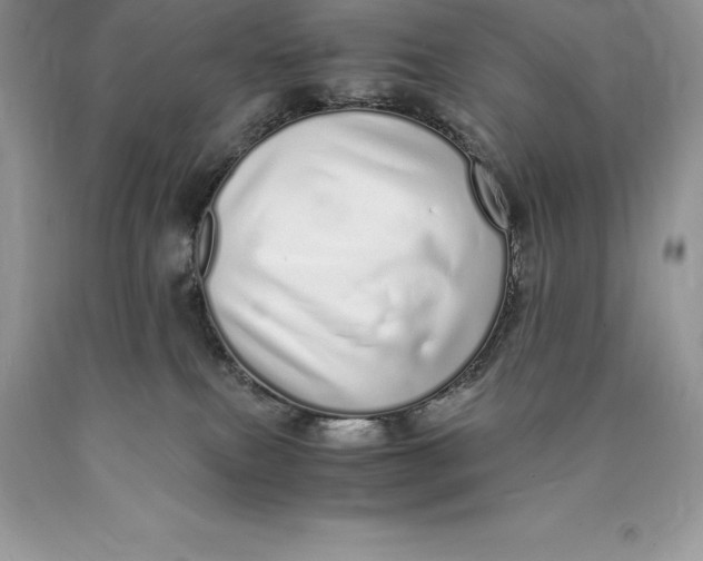 X0000089930087200707201850