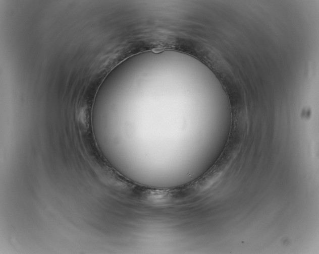 X0000089930088200707201850