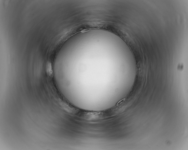 X0000089930089200707201850