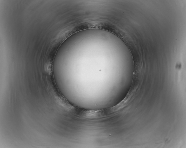 X0000089930090200707201850