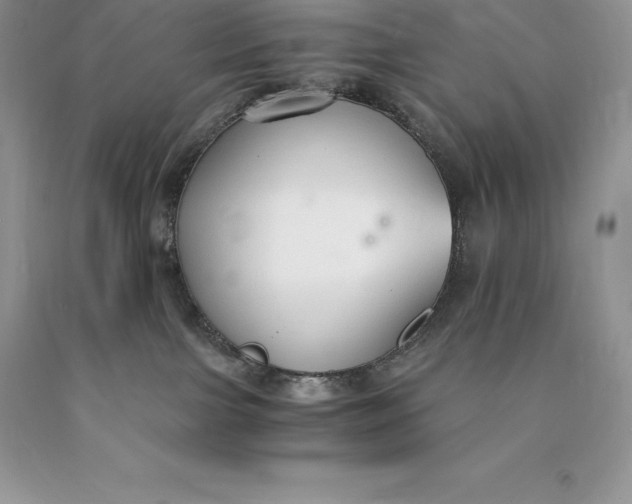 X0000089930091200707201850