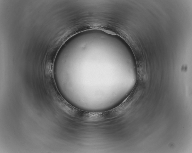 X0000089930093200707201850