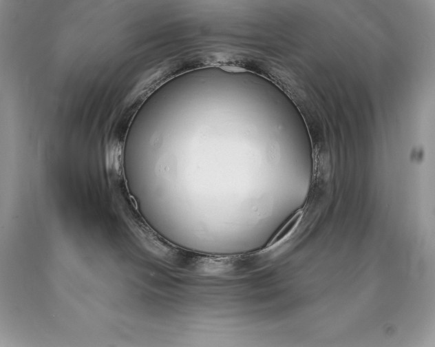 X0000089930094200707201850