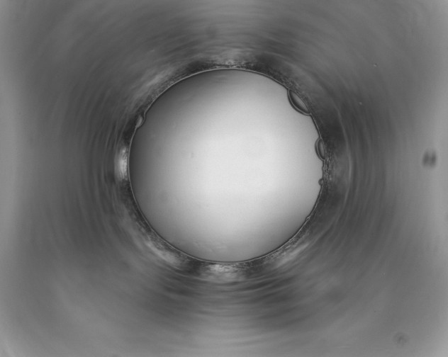 X0000089930095200707201850