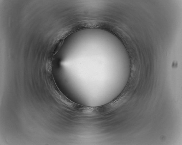 X0000089930096200707201850