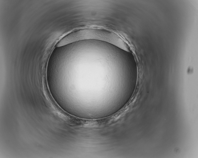 X0000089930097200707201849