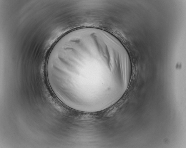 X0000089930098200707201849