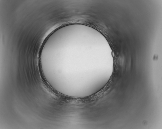 X0000089930100200707201849