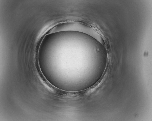 X0000089930101200707201849