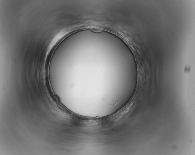 X0000089930102200707201849