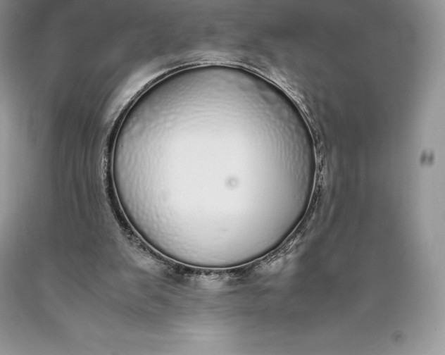 X0000089930103200707201849