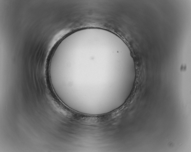 X0000089930104200707201849