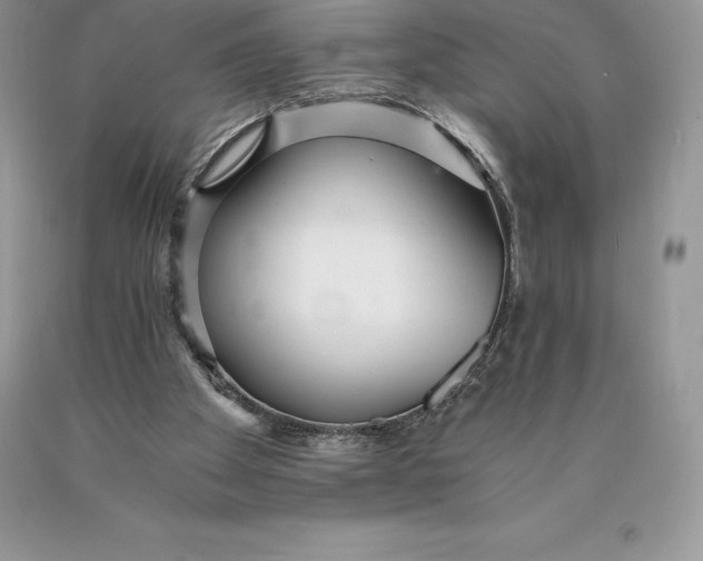 X0000089930105200707201849