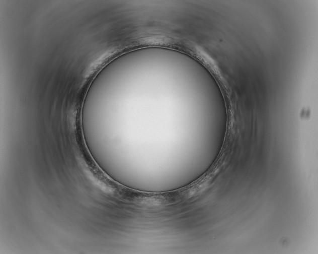 X0000089930106200707201849