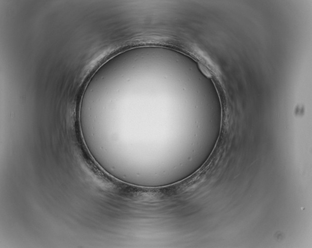 X0000089930107200707201849