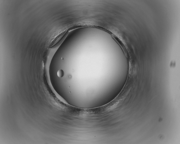 X0000089930109200707201849