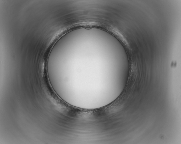 X0000089930110200707201849