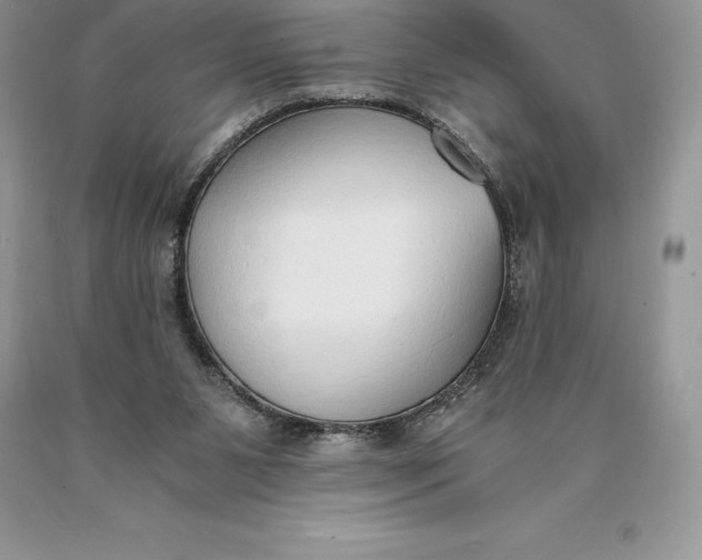 X0000089930111200707201849