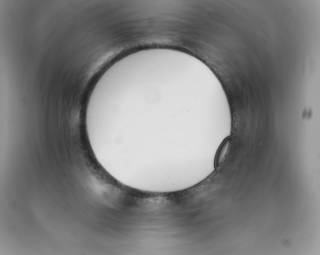 X0000089930112200707201849