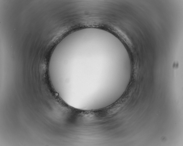 X0000089930113200707201849