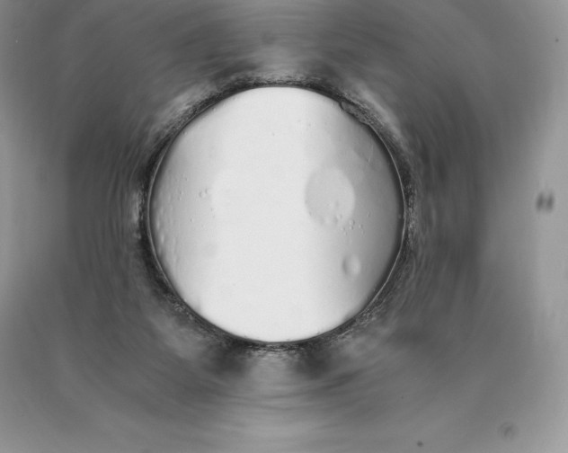 X0000089930115200707201849