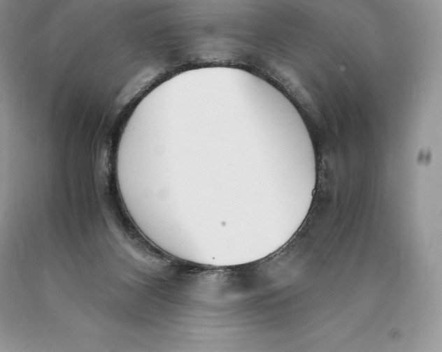 X0000089930116200707201849