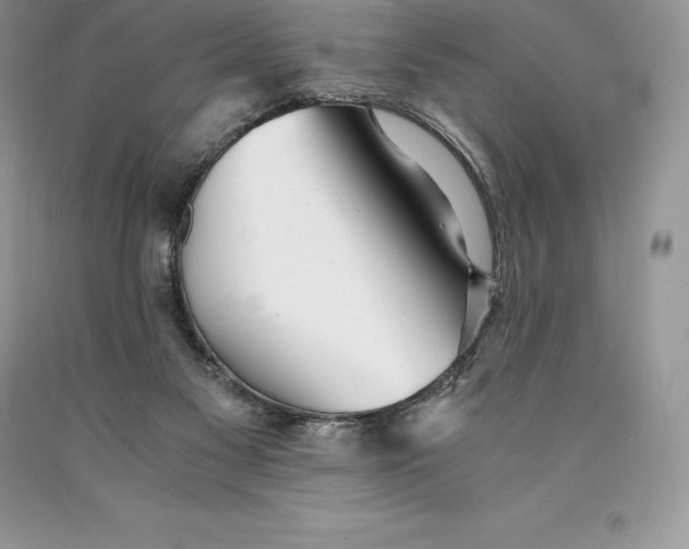 X0000089930117200707201849