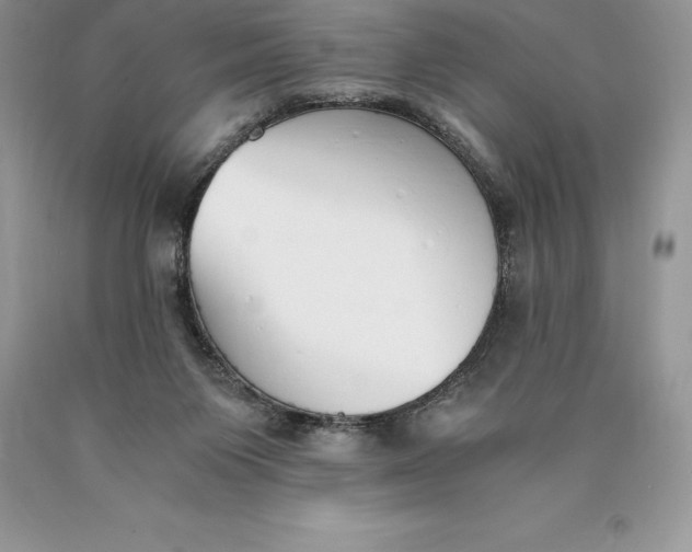 X0000089930119200707201849