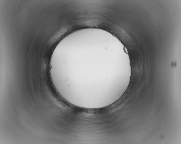 X0000089930120200707201849