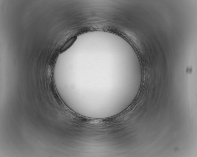 X0000089930121200707201849