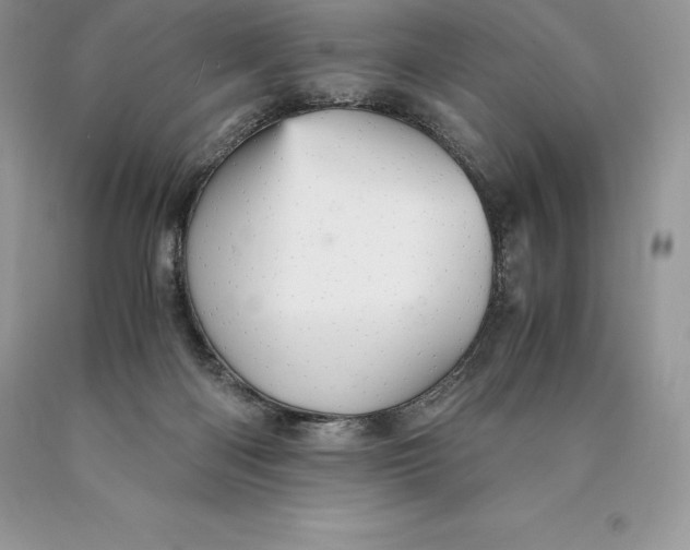 X0000089930122200707201849