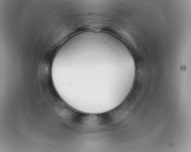 X0000089930123200707201849