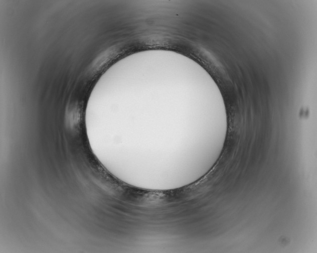 X0000089930124200707201849