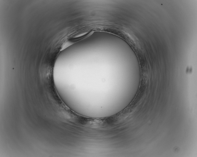 X0000089930125200707201849