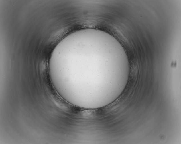 X0000089930126200707201849